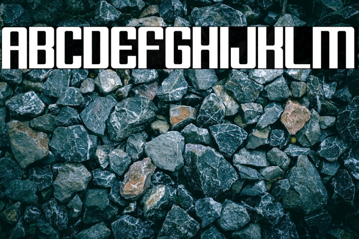 Block C17 Bold Example 2