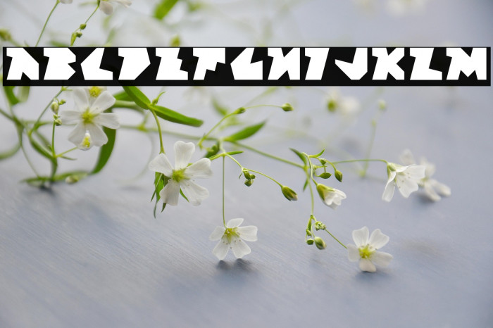 Block Factory Regular Example 2