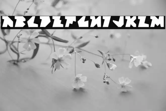 Block Factory Regular Font examples