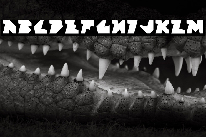 Block Factory Regular Example 3