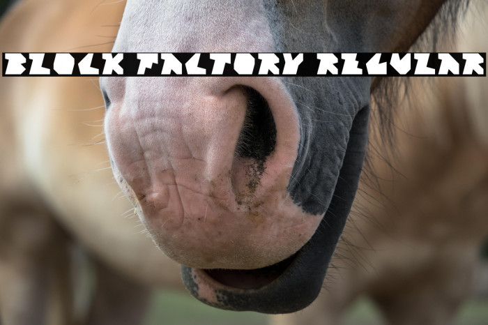 Block Factory Regular Example 1