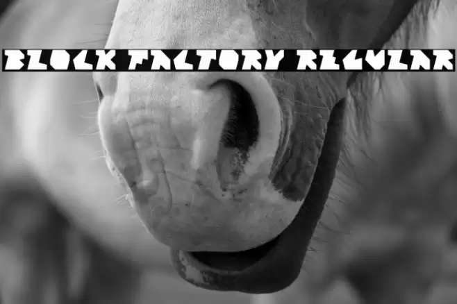 Block Factory Regular Font examples
