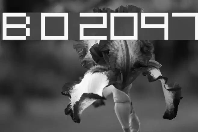 Block Out 2097 フォント examples