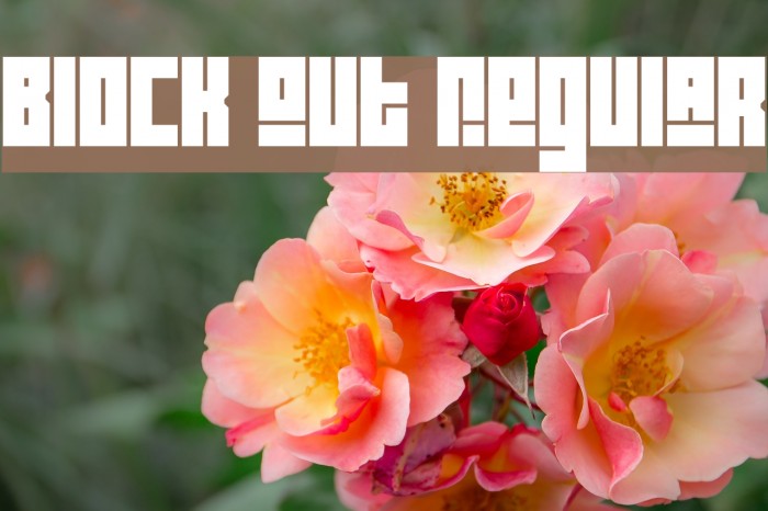 Block Out Regular Font examples