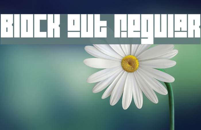 Block Out Regular Font examples
