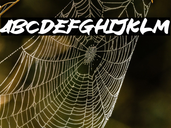 Block Ride Example 2