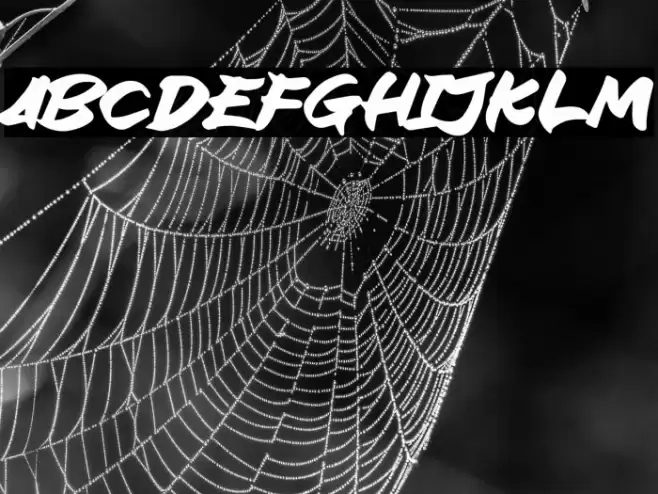 Block Ride Caratteri examples