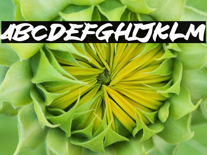 Block Ride Example 3