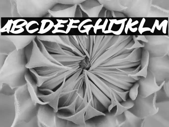 Block Ride Caratteri examples