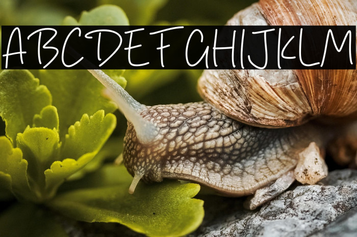 Block Script Example 3