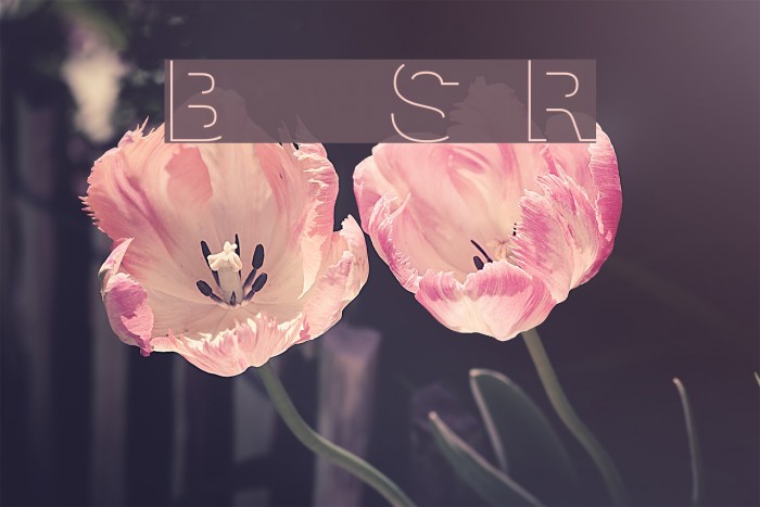 Block Shadow Regular Font examples