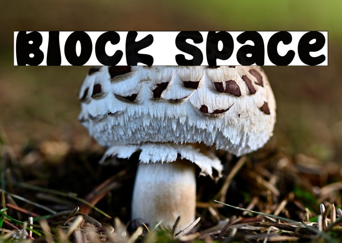 Block Space Example 1