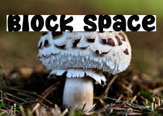 Block Space Example 1