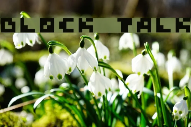 Block Talk Example 1