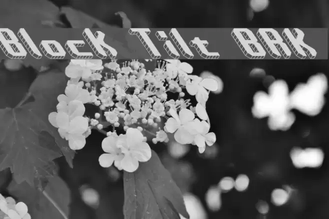 Block Tilt BRK Font examples