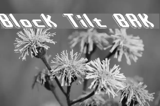 Block Tilt BRK Font examples