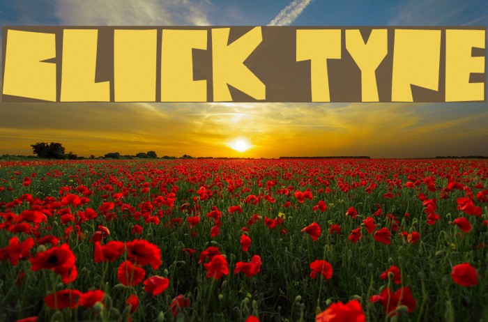 Block Type Font examples