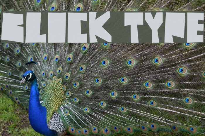 Block Type Font examples