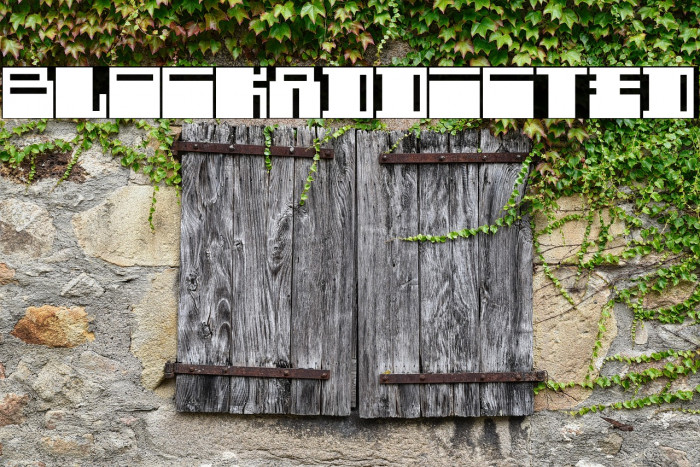 BlockAddicted Example 1