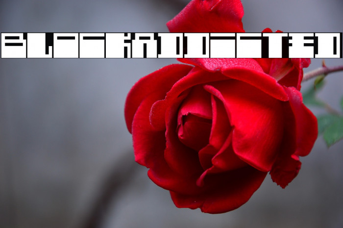 BlockAddicted Example 2