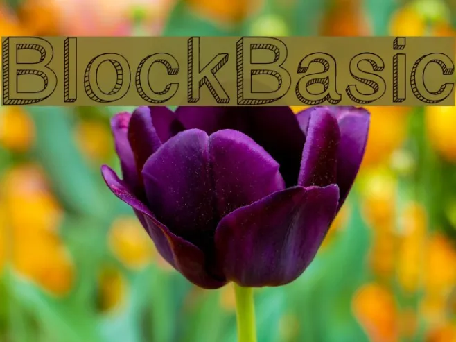 BlockBasic Example 3