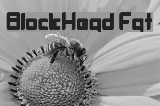 BlockHead Fat Шрифта examples