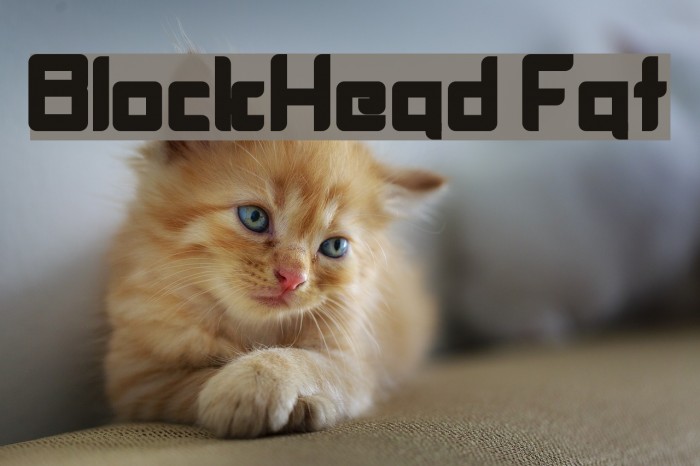 BlockHead Fat Font examples