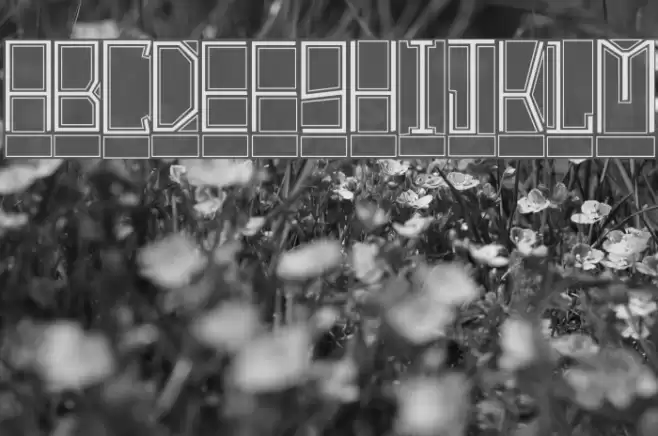 BlockTitling Outline フォント examples