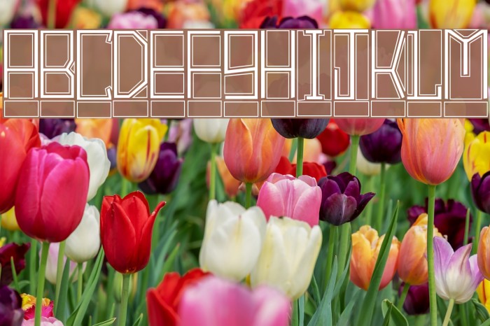 BlockTitling Outline Font examples