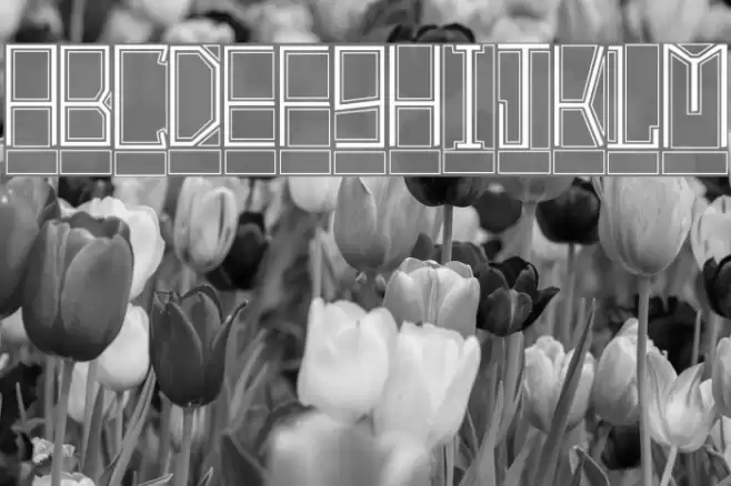 BlockTitling Outline フォント examples