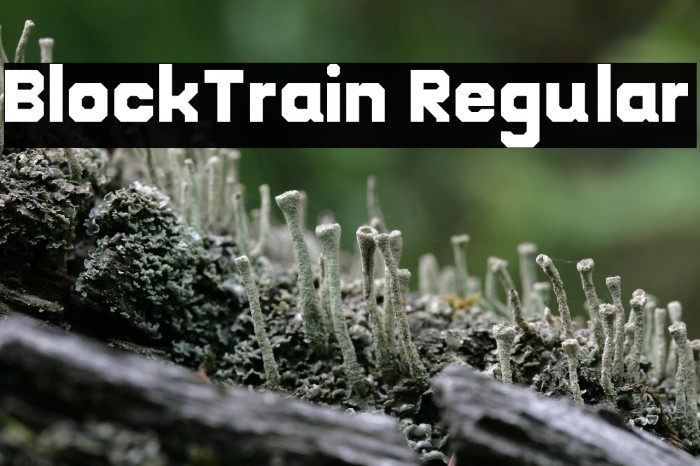 BlockTrain Regular Example 3