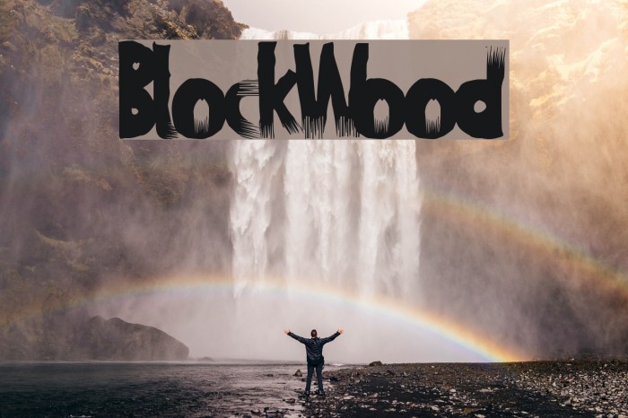 BlockWood Font examples