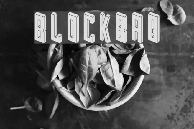 Blockbaq Font examples
