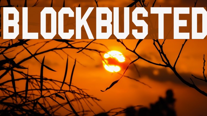 Blockbusted Font examples