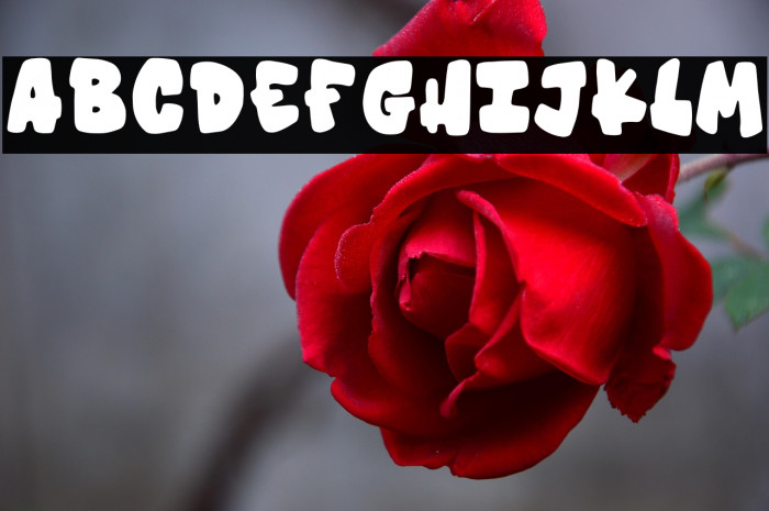 Blockbuster Regular Demo Example 1