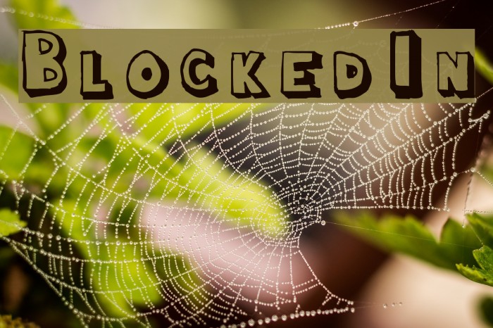 Blocked In Font examples