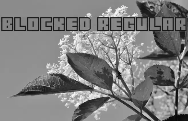 Blocked Regular Font examples
