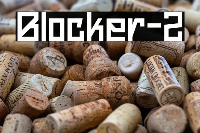 Blocker-2 Example 1
