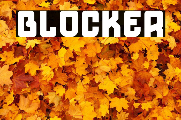 Blocker Example 3