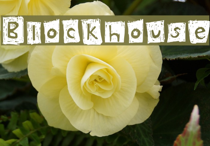Blockhouse Schriftart examples