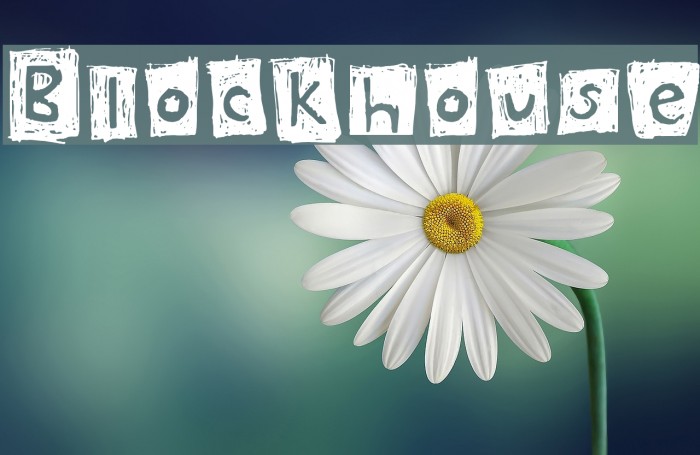 Blockhouse Schriftart examples