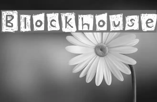Blockhouse Font examples
