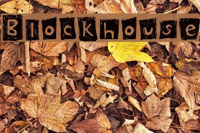 Blockhouse Schriftart examples