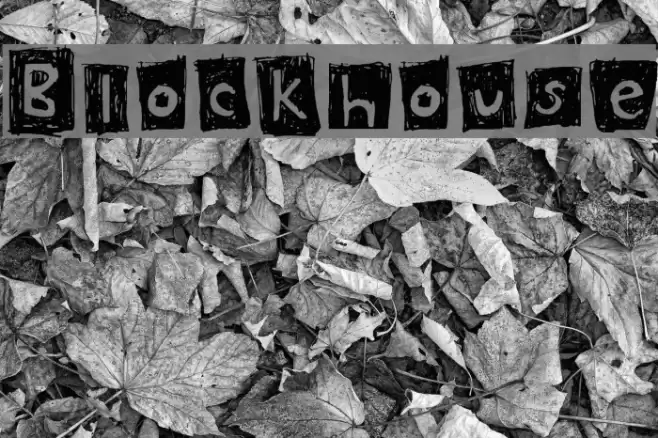Blockhouse Font examples