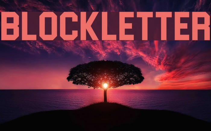 Blockletter フォント examples