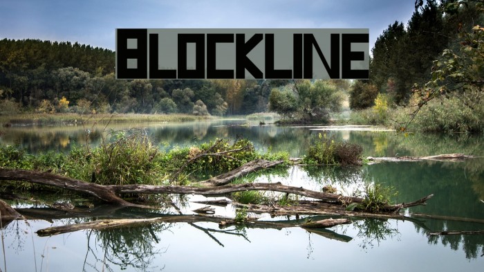 Blockline Font examples
