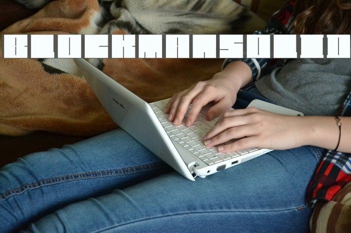 Blockman-solid Example 1