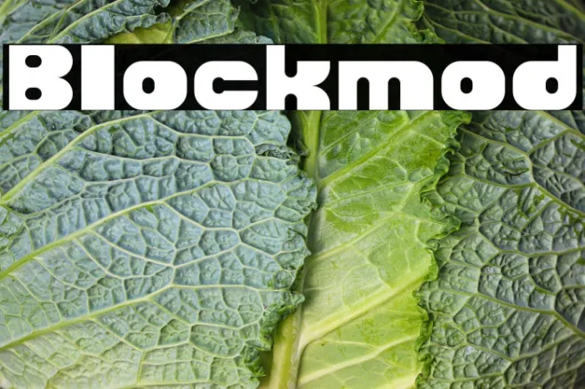 Blockmod Example 3
