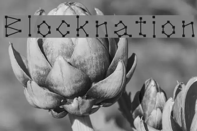 Blocknation Font examples