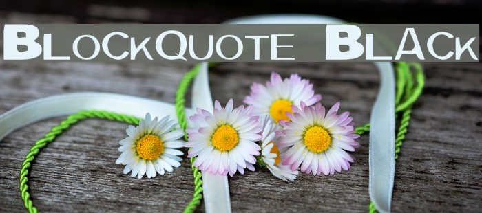 Blockquote Black Example 2